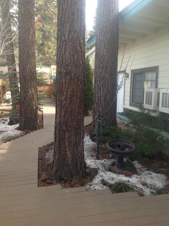 Tahoe Chalet Inn, The Theme Inn Lake Tahoe Airport Buitenkant foto